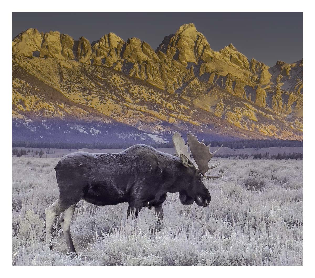 Grand Teton NP